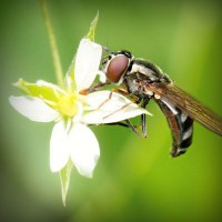 /album/ma%c3%a7izle-com/photolia-a02-jpg/
