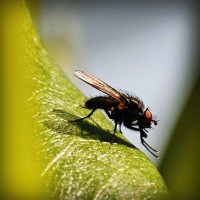 /album/ma%c3%a7izle-com/photolia-a04-jpg/