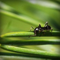 /album/ma%c3%a7izle-com/photolia-a05-jpg/